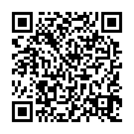 QR code for plate 80L 303