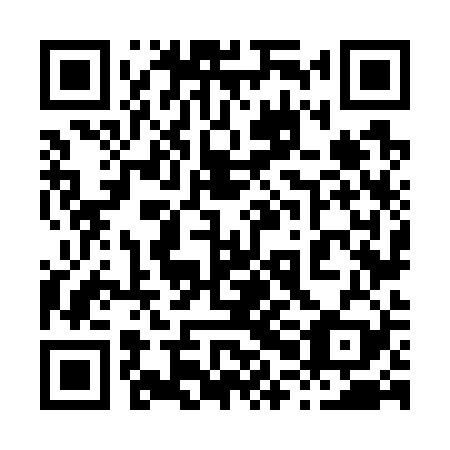 QR code for 80N 729