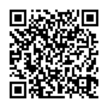 QR code for 80P 369