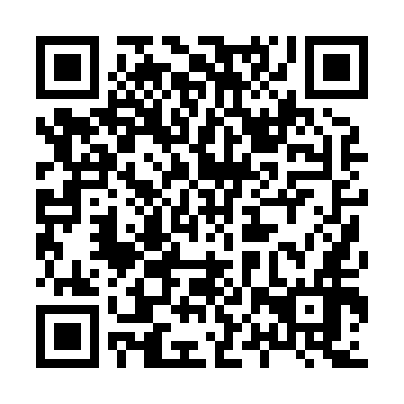 QR code for 80P 856