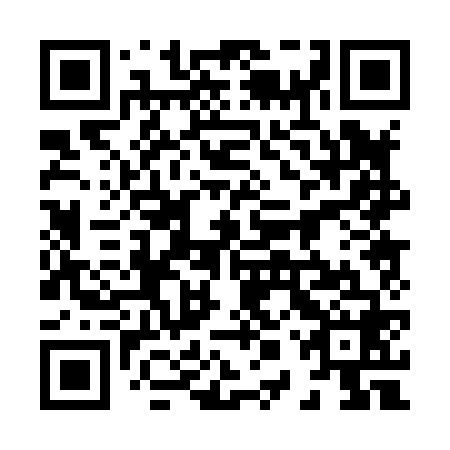 QR code for 80P 868