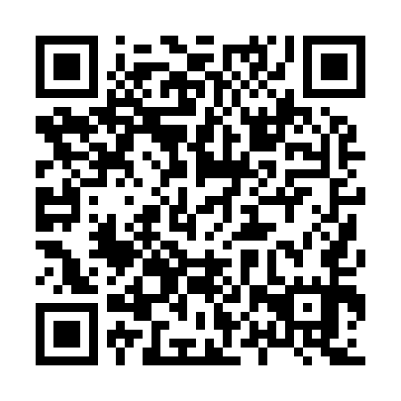 QR code for 80P 955