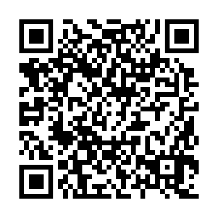 QR code for plate 80Q 386
