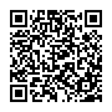 QR code for 80T006