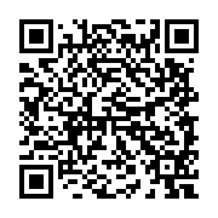 QR code for plate 80T 594