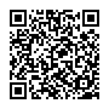 QR code for 80V 595
