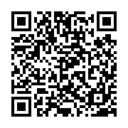 QR code for plate 80V 617