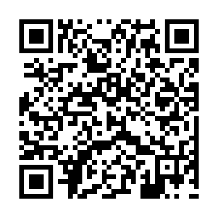 QR code for plate 80V 635