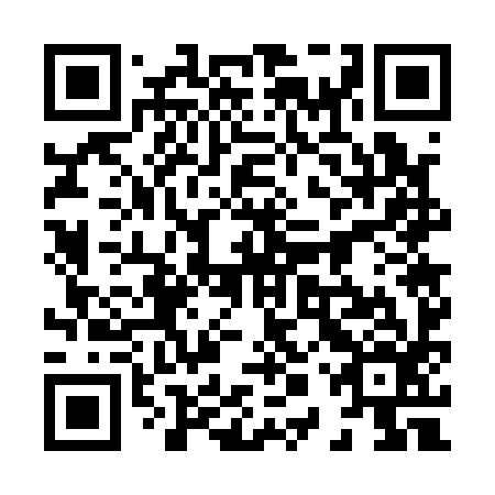 QR code for plate 80W 196