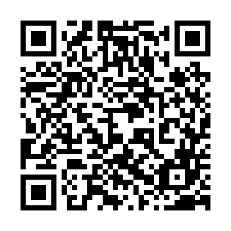 QR code for plate 80W 246