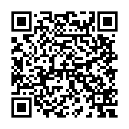 QR code for 80X 519