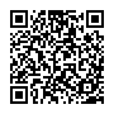 QR code for plate 80X 385