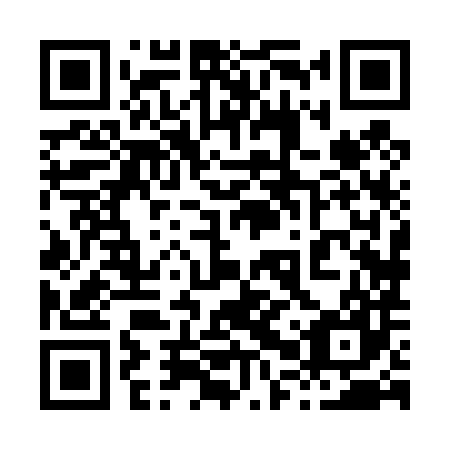 QR code for 80X487