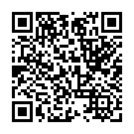 QR code for plate 81C 393