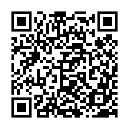 QR code for plate 81C 462