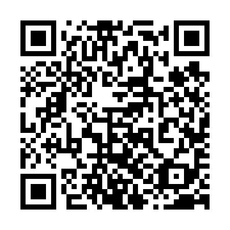 QR code for plate 81F 699
