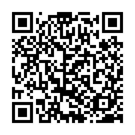 QR code for 81G 241