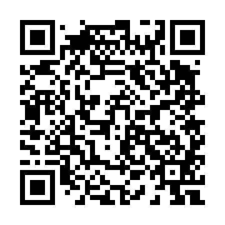 QR code for plate 81G 481