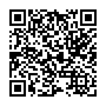 QR code for plate 81I 959