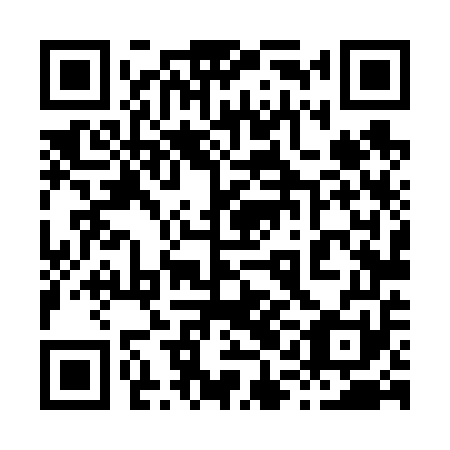 QR code for plate 81L 651