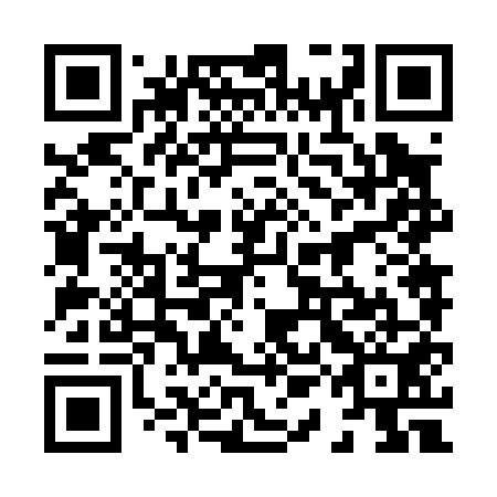 QR code for plate 81N 051