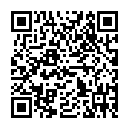 QR code for plate 81N 113