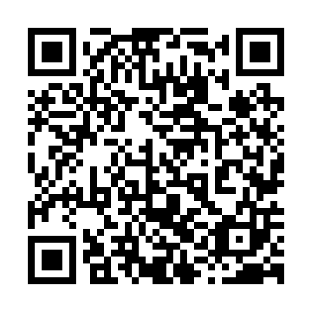 QR code for plate 81N 203