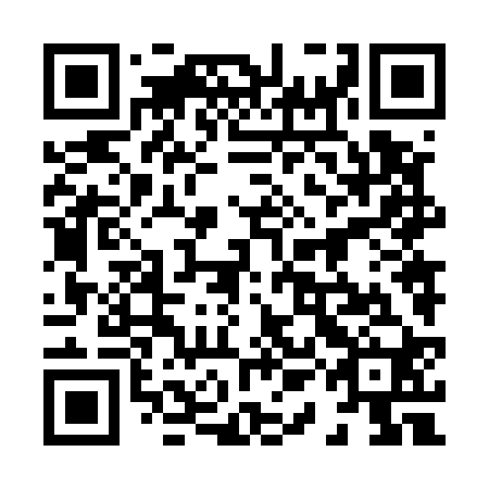 QR code for plate 81N 520