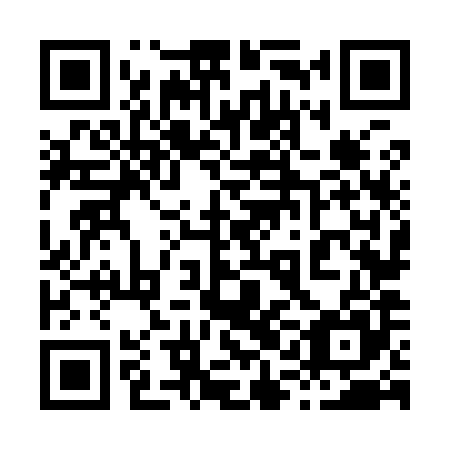 QR code for plate 81N 985