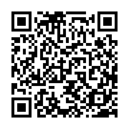 QR code for 81P 370