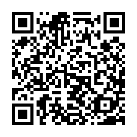 QR code for 81P 509