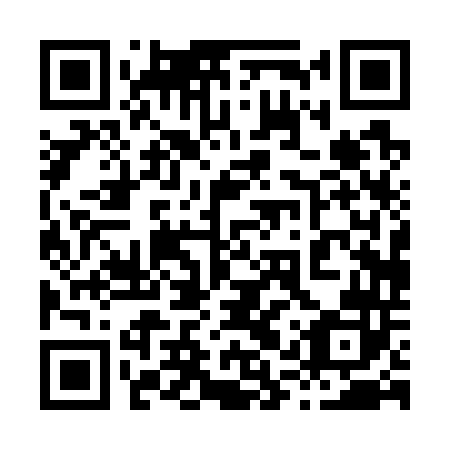 QR code for 81P 742