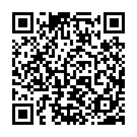QR code for plate 81P 210