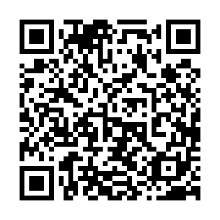 QR code for plate 81P 551