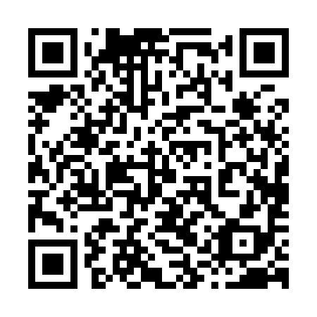 QR code for plate 81P 998