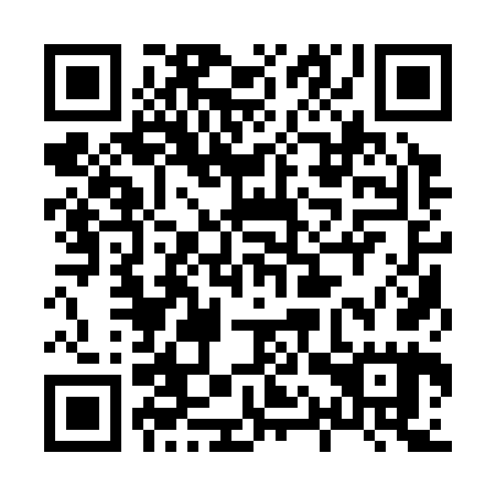 QR code for 81Q 365