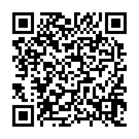QR code for 81T 316