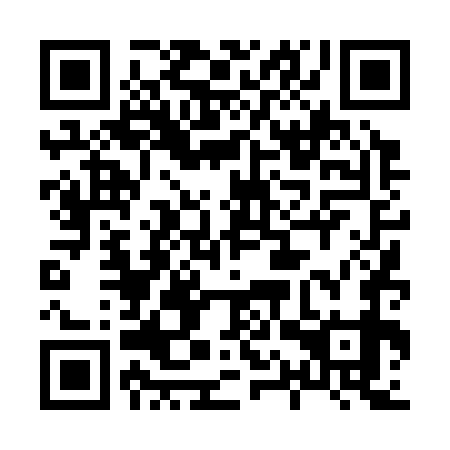 QR code for plate 81T 379