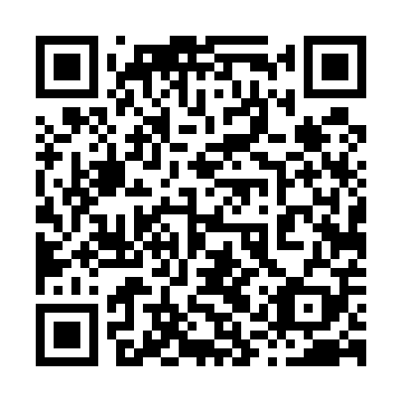 QR code for plate 81T 509