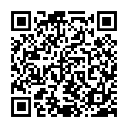 QR code for plate 81V 033