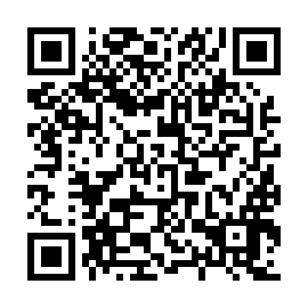QR code for plate 81V 096