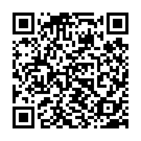 QR code for 81V638