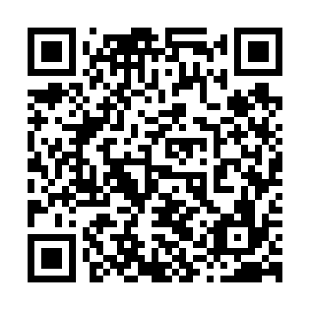 QR code for plate 81W 636