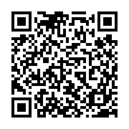 QR code for plate 81Y 677