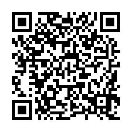 QR code for plate 81Y 994