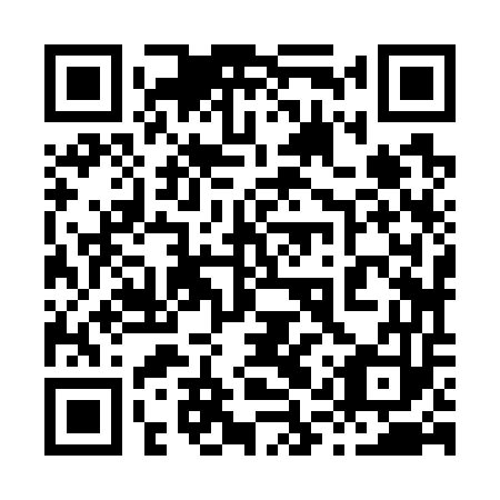 QR code for plate 81Z 753