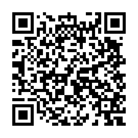 QR code for plate 82W 400