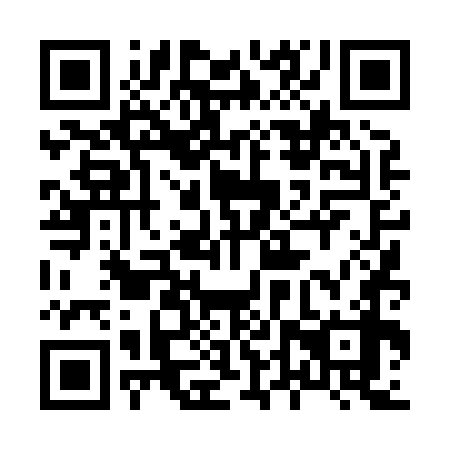 QR code for plate 84T 878