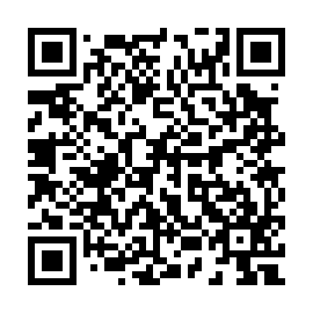 QR code for plate 85C 097