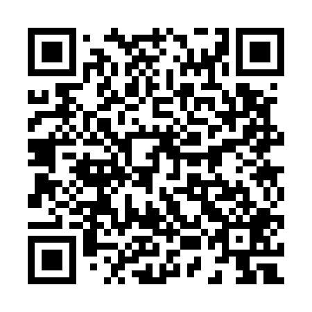 QR code for plate 85C 509
